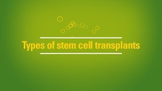 Types of stem cell transplants autologous vs allogeneic [upl. by Dnalrag623]