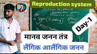 Male Gamate Human Reproduction Biology by pankaj sir Manav Janan मानव जनन jhunjhunma [upl. by Macswan]