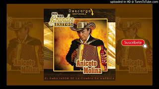 Aniceto Molina La Brujita Audio HQ [upl. by Ahseele]