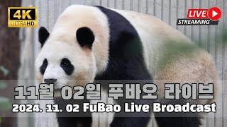 토요일 하루 푸바오를 4K로 편집없이 만나 보세요Fubao 4K Highlights Video [upl. by Amaj277]