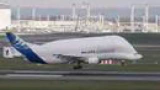 Airbus A300600ST Beluga landing in Toulouse [upl. by Hernardo]