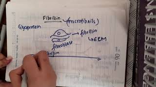 Fibrillin  Biochemistry [upl. by Eurydice]