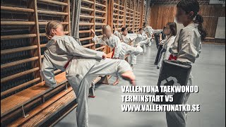 Terminstart v5 [upl. by O'Connell]