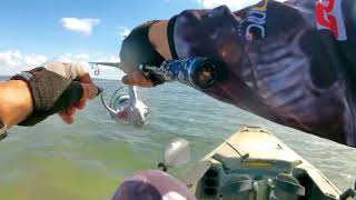 Big Bream at tuggerah lake [upl. by Warfeld]