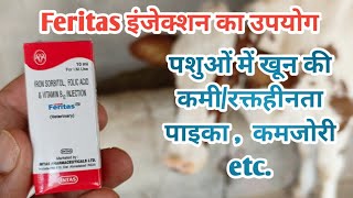 Feritas injection  Iron Injection use in Animals  पशुओँ में कब और कैसे करें उपयोग [upl. by Adnahsat]