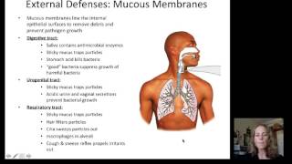 Lecture 19 Immune System [upl. by Christis312]