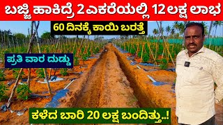 ಎರಡು ಎಕರೆಯಲ್ಲಿ12 ಲಕ್ಷ ಲಾಭ 60 ದಿನಕ್ಕೆ ಕಾಯಿ ಬರತ್ತೆ  Bajji Chilli Farming in Kannada  Farming ideas [upl. by Otrebogad]