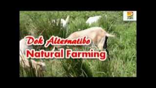 Dok Alternatibo Natural Farming EXPO Video [upl. by Aeriel]