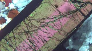 Tourmaline au microscope polarisant LPA [upl. by Haran414]