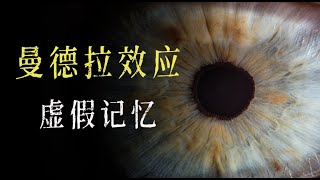 如何解释曼德拉效应？案例合理分析｜新十日谈 [upl. by Basset]