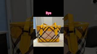 Why I let go of over 100 bags luxury lv declutter designer lv bottega celine mulberry [upl. by Dmitri]