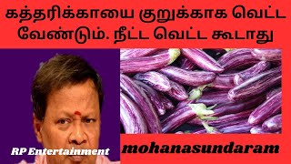 கத்தரிக்காயை குறுக்காக வெட்ட வேண்டும் நீட்ட வெட்ட கூடாது mohanasundaram comedy speech [upl. by Anelak458]