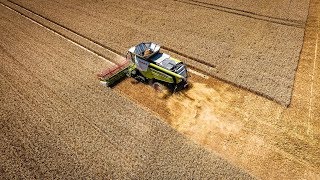 Ernte im 360 GradVideo Auf dem Feld mit Mähdrescher Claas Lexion [upl. by Nyrb]