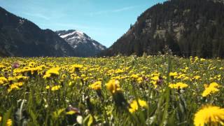 Frühjahrswandern im Tannheimer Tal [upl. by Jillian]