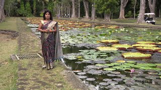 Virasat  Pamplemousses Botanical Garden Part 01 [upl. by Letitia]