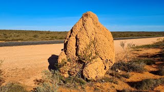 Termite Mounds Near Exmouth Western Australia  4K Ultra HD [upl. by Lindsley]