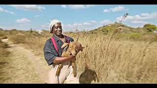 Baba Harare  Tsamba Yerufu Official Video [upl. by Clie198]