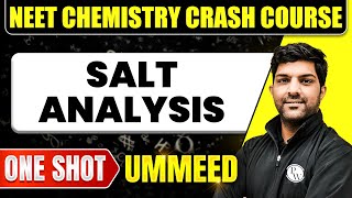 SALT ANALYSIS in 1 Shot  All Concepts Tricks amp PYQs  NEET Crash Course  Ummeed [upl. by Nonek]