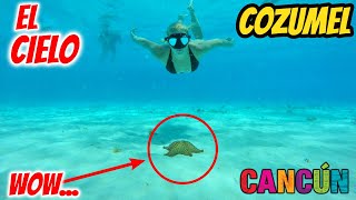 ✅ El Cielo COZUMEL ABRIÓ 🔴 Nuevos PROTOCOLOS😱 Vale LA PENA  SEGURO 100 REAL 💥 TIPS  Consejos [upl. by Aram]