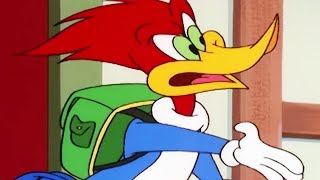 Woody Woodpecker Show  Inn Trouble  1 Hour Compilation  Cartoons For Children [upl. by Natividad925]