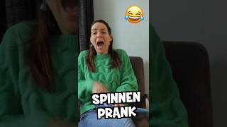 SPINNEN PRANK UITHALEN 😂🤣 Lach Je Suf Met Het Stoute Broertjes Moppenboek [upl. by Nnyletak798]