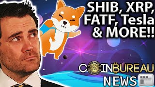 Crypto News SHIB XRP Infra Bill SEC amp More 📰 [upl. by Enitnelav]