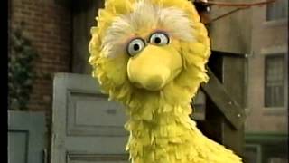 Classic Sesame Street  Big Bird The Grouch [upl. by Ydurt606]