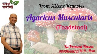 My Experiences with Agaricus Muscarius [upl. by Dhar]