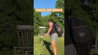 BIRDIES On BIRDIES Today… discgolf putting [upl. by Anoi]