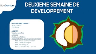 Deuxième semaine de développement embryonnaire  Embryologie générale [upl. by Mace]