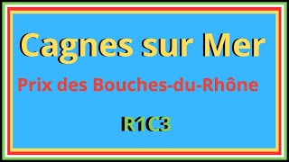 Pronostics gratuits Quinté du jour mercredi 7 février à Cagnes sur mer Prix des BouchesduRhône [upl. by Aidam]