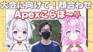 顔合わせ練習！Apex Legends！ 【女性実況】【Vtuberゲーム実況】 [upl. by Osi]