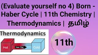 Evaluate yourself no 4 Born  Haber Cycle  11th Chemistry  Thermodynamics  தமிழ் [upl. by Merrell]