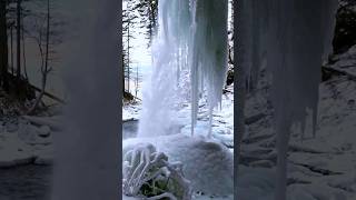 Ice Magic Mesmerizing Icicle on Ponytail Waterfalls photography hiking waterfall oregon winter [upl. by Diann]