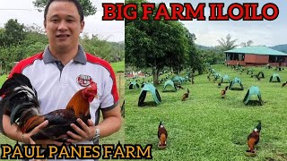 Paul Panes ✅ Beautiful Big Farm Philippines Great Eight Farm [upl. by Deloria]