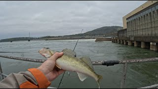 Dam Fishing Walleye at Last [upl. by Judy]