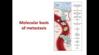 Metastasis Molecular Basis [upl. by Lanni]