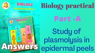 Study of plasmolysis in epidermal peels Class 12 biology practical experiment 2 answers [upl. by Sanoy20]