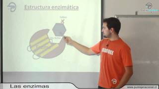 BIOLOGIA MC  Organización estructura y actividad celular  Las enzimas [upl. by Korrie167]