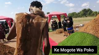 Mogote  Funeral Performance Highlights 2 [upl. by Aihsakal99]