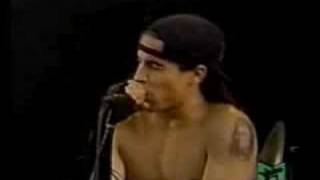 Red Hot Chili Peppers  Castles Made of Sand live  PinkPop [upl. by Noli]