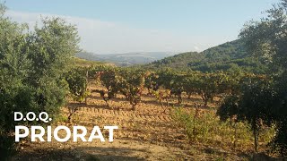 Spanish Wine Regions Priorat [upl. by Else502]