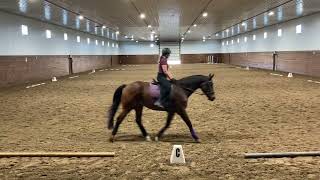 Dressage Test Intro C [upl. by Shelton947]