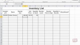 Inserting A New Column Or Row In Excel 2010 [upl. by Alexina]