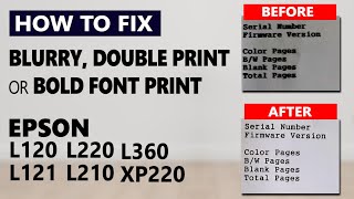 How to FIX Epson L120 L121 L220 L210 L360 XP220 Blurry or double print after waste inkpad reset [upl. by Nnyleitak]