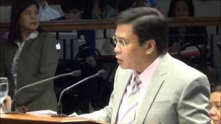 Estrada questions character of Cunanan Tuason [upl. by Ayekal359]