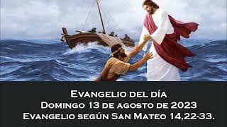 Evangelio del domingo 13 de agosto de 2023 [upl. by Nedra304]