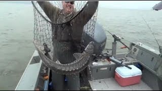 Sturgeon Fishing  Columbia River  Astoria Oregon [upl. by Isborne]