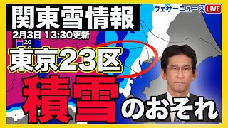 【関東雪情報】東京23区では積雪のおそれも 南岸低気圧が接近 202423 13時30分更新 [upl. by Eiltan671]