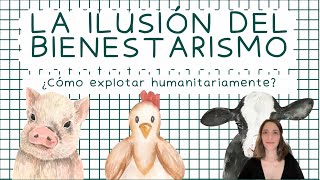 El bienestarismo y la verdad oculta detrás de la explotación de gallinas [upl. by Alena]